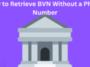 How to Retrieve BVN Without a Phone Number How to Retrieve BVN Without a Phone Number