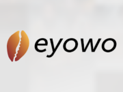 Eyowo Review: How To Make Money On Eyowo Eyowo Review