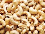 How to Make Money Selling Cashew Nuts in Nigeria how to make money selling cashew nuts in Nigeria