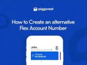 Forgot my Piggyvest Password and Pin – How to Reset, Change and Recover Piggyvest Password and Pin Forgot my Piggyvest Password and Pin - How to Reset, Change and Recover Piggyvest Password and Pin