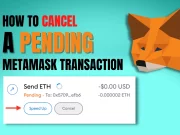 How to Cancel Pending Transactions on MetaMask in 2023 How to Cancel Pending Transactions on MetaMask in 2023