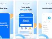Flypay-Naira Cash Loan Login With Phone Number, Email, Online Portal, Website flypay