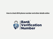 BVN Validation Portal – How to Check BVN Details Online BVN Validation Portal - How to Check BVN Details Online
